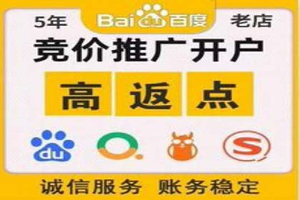 揭秘SEM代运营的成功要素与策略